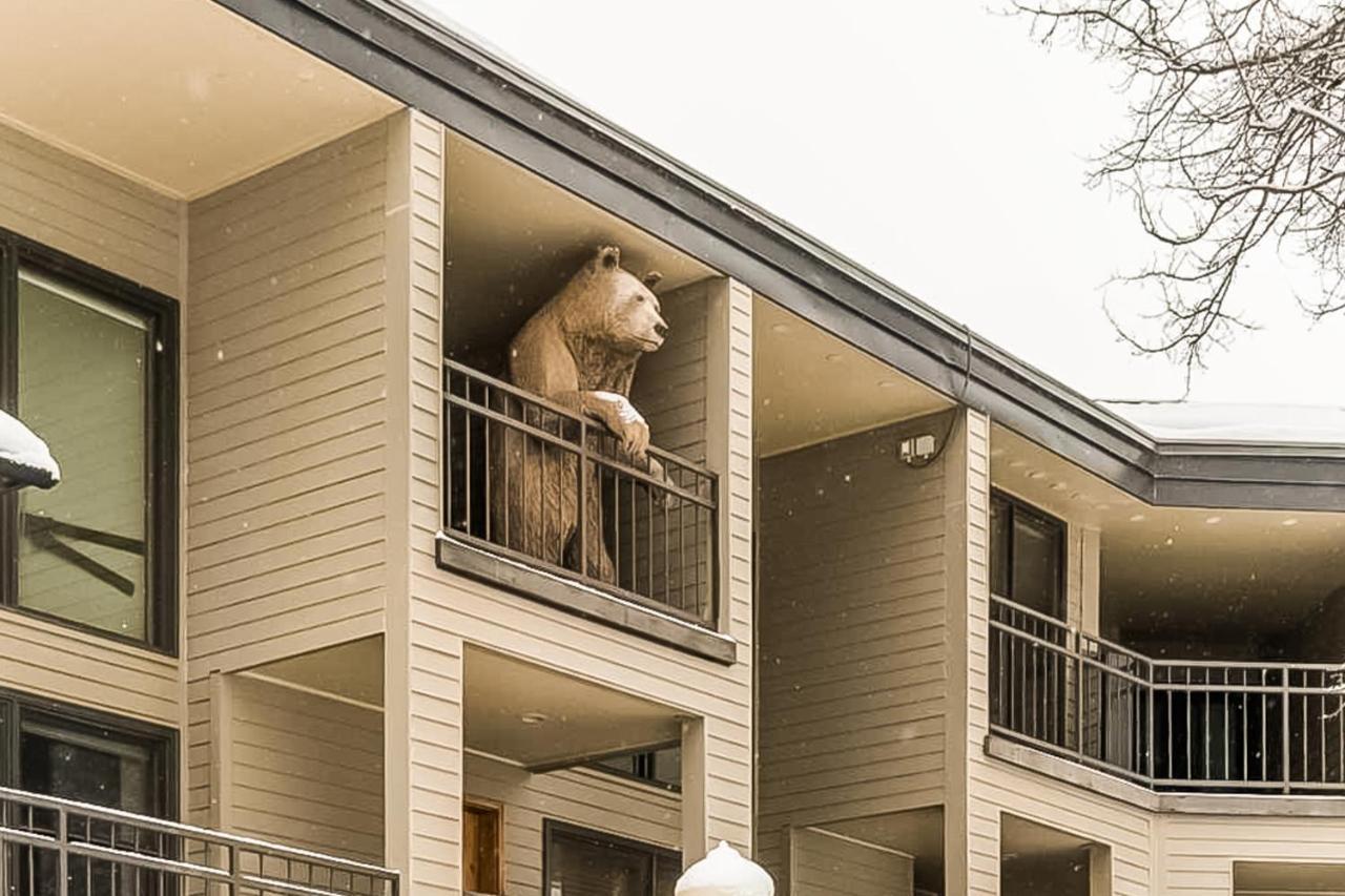 Apartamento Cimarron Mountain Retreat Telluride Exterior foto